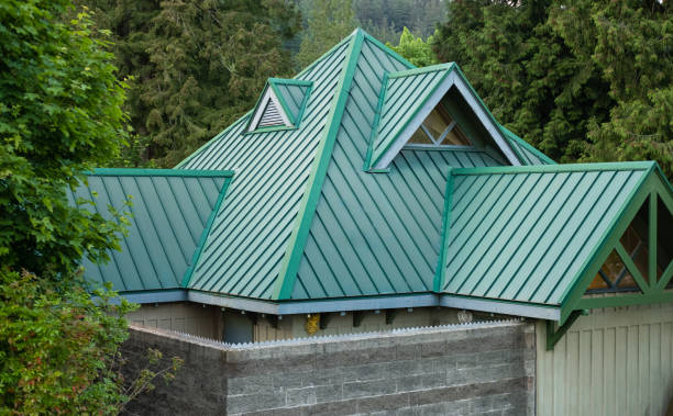Best Sheet Metal Roofing  in Henderson, NC