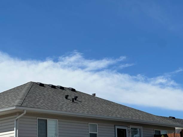 Siding in Henderson, NC